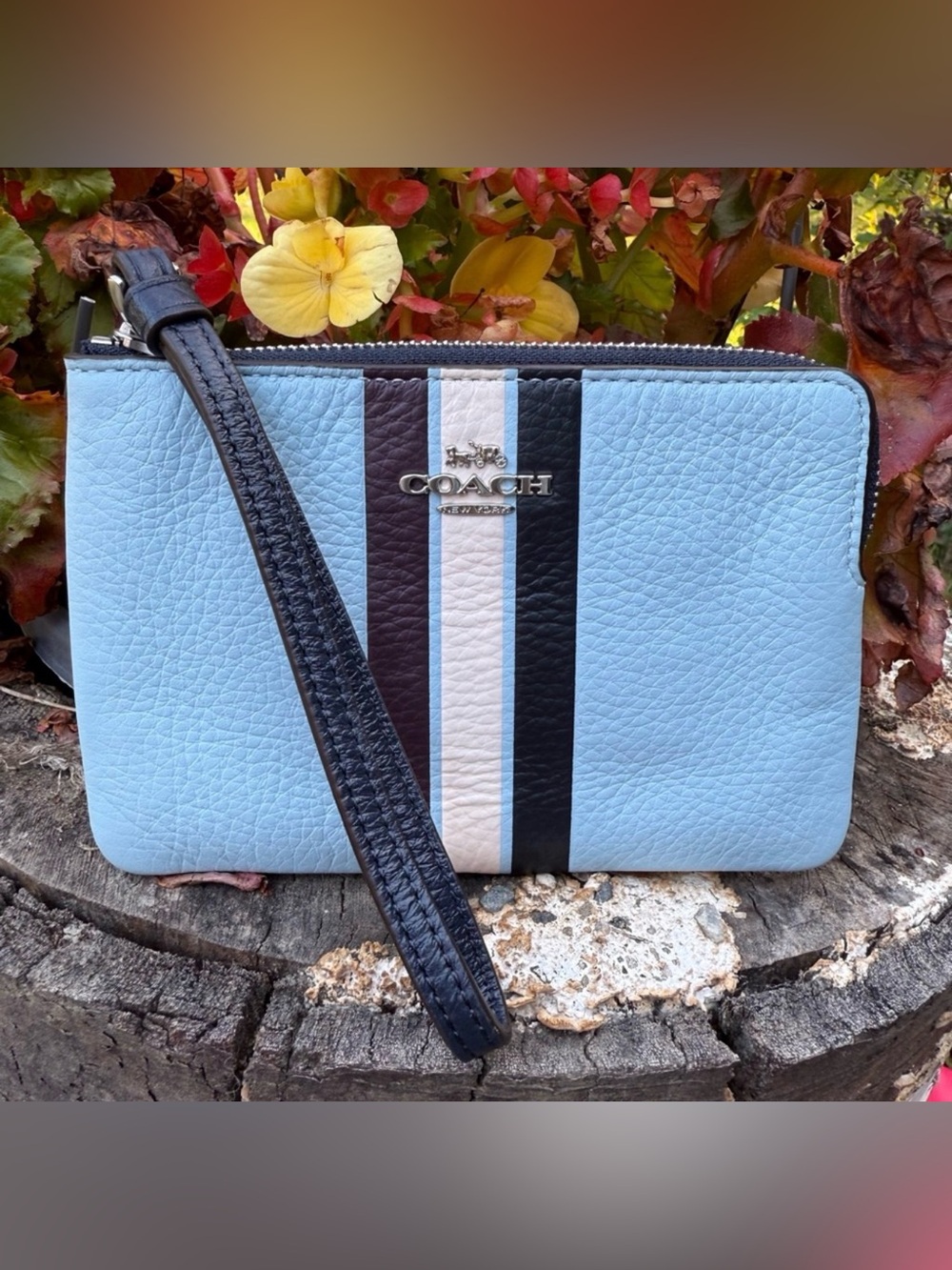 Coach Colorblock Wristlet with Stripe